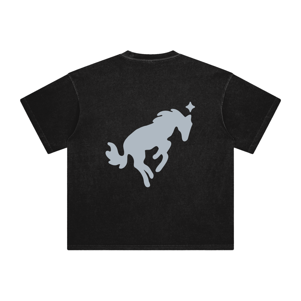 0.3 T-Shirt 0.1