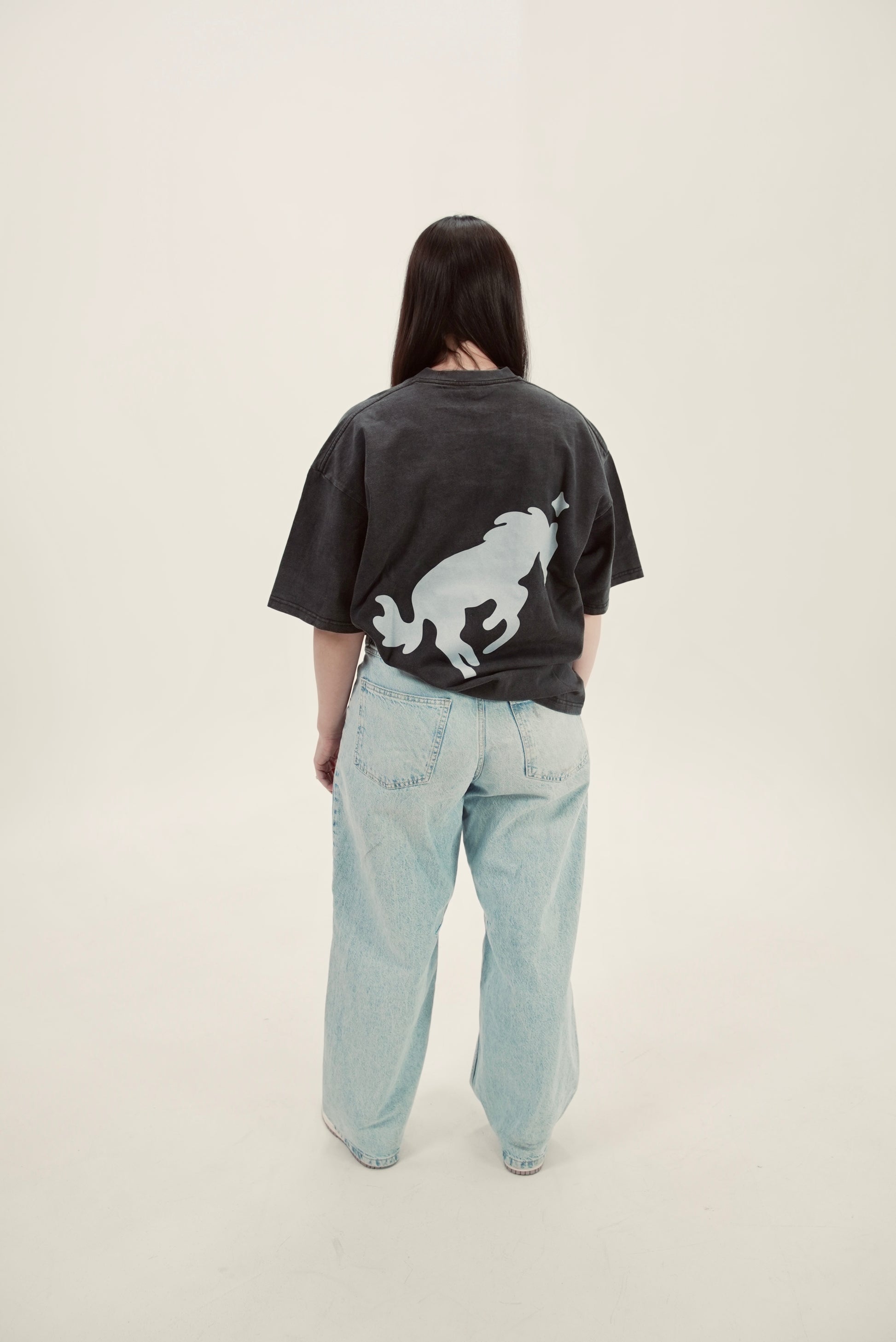 0.3 T-Shirt 0.1
